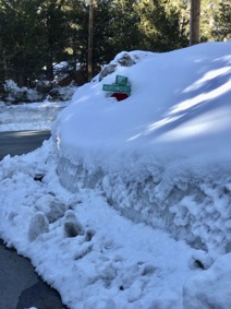 street signs buried in snow